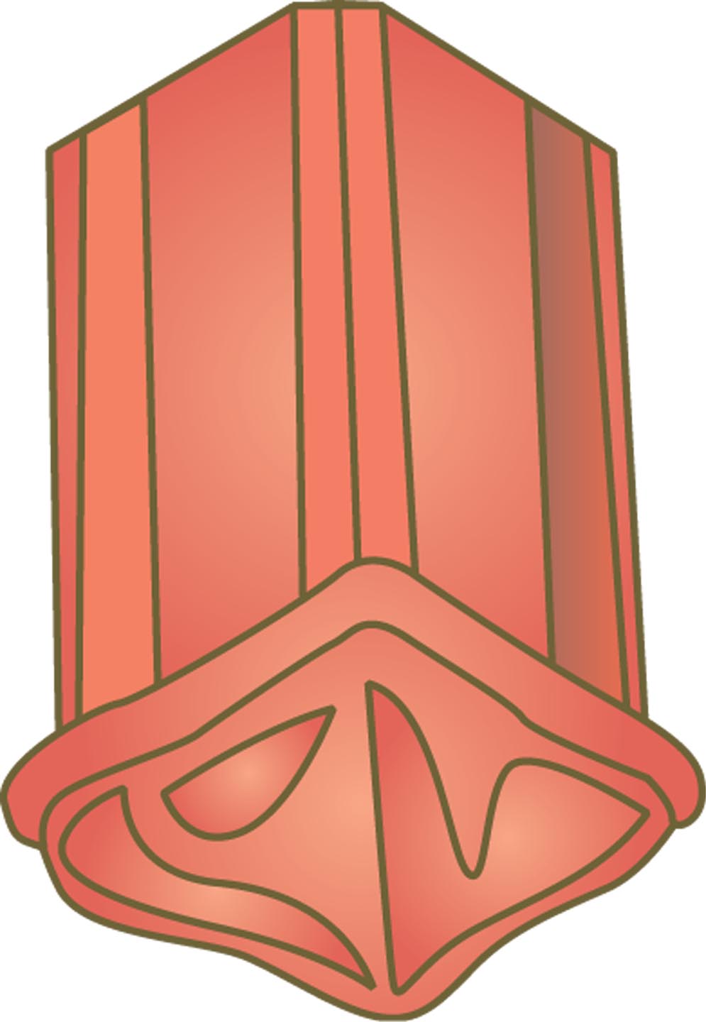 Ml giverny pv beginnoordboom breed leizwart