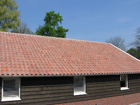 Lf oude holle b/eindnoordboom oud rood