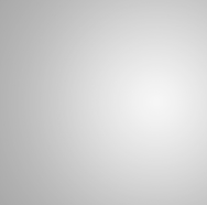 Alucobond plus natural reflect 405 1250x4050 405