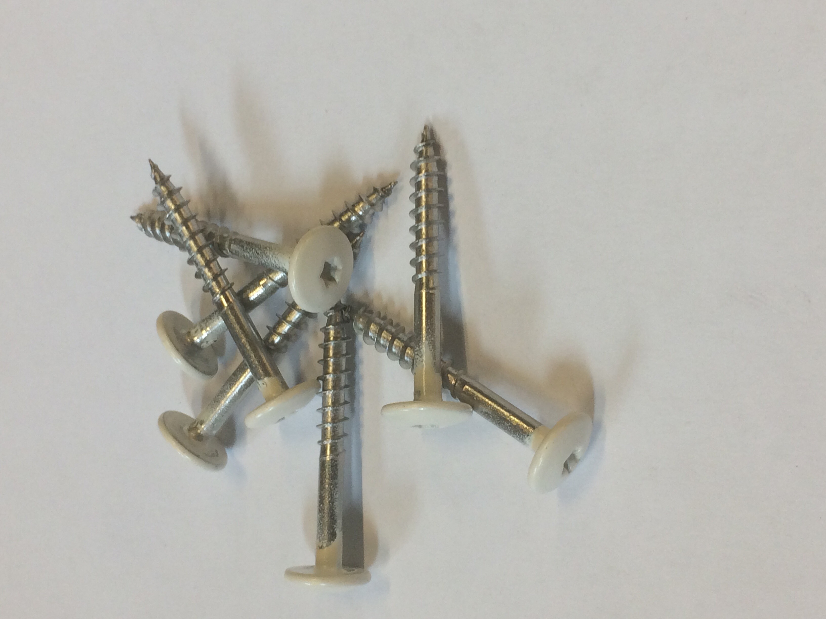 Cedral inox schroeven a4 4,8x38 c07 krijtwit 100st/ds eur/ds