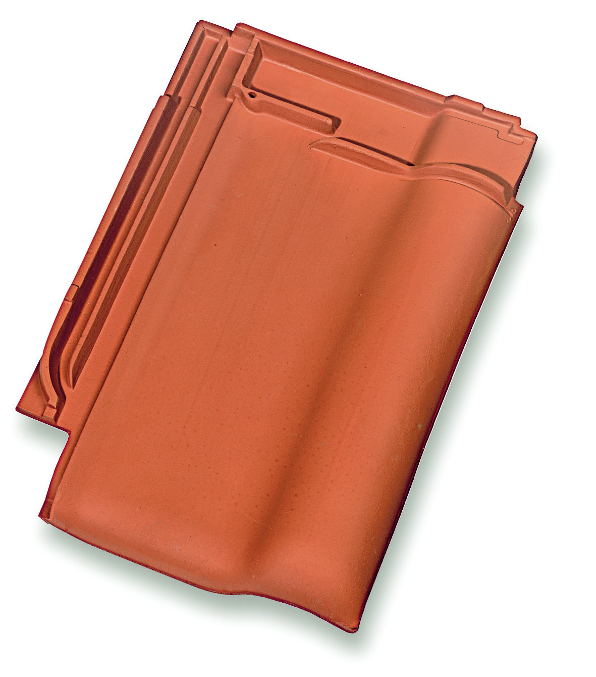 Alegra 10 te pan natuurrood 5st/pak eur/st 600