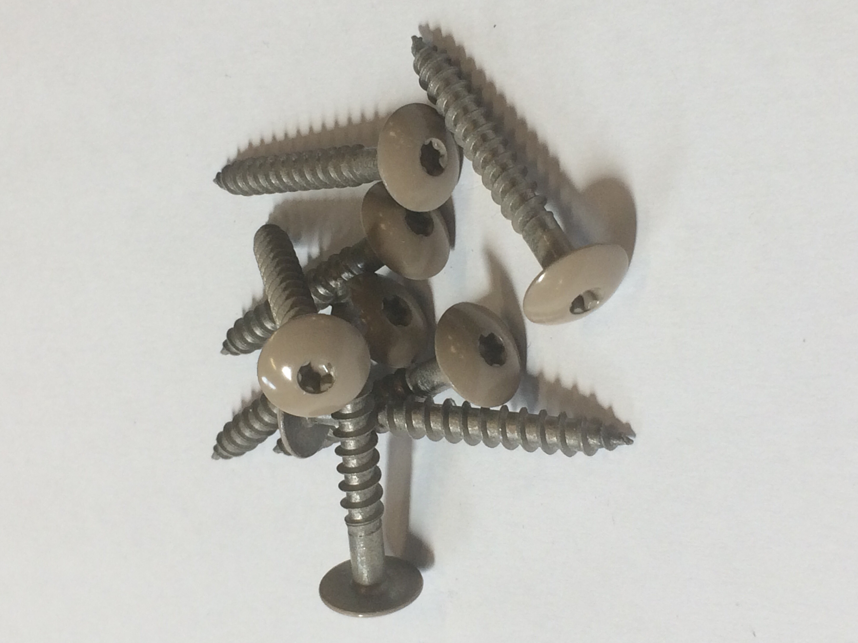 Trespa inox schroeven a4 4,8x38 grijsbeige ral1019 a08.3.1 100st/ds eur/ds