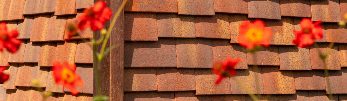 Karakter op het dak: ontdek de kleitegelpannen van Terreal bij Modde