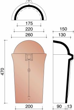 ALEGRA 10 TE BEGINNOORDBOOM CONISCH NATUURROOD 600