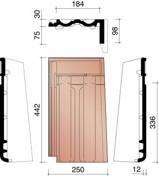 BISCH SE STANDARD GEVELPAN RECHTS GEWOLKT 875