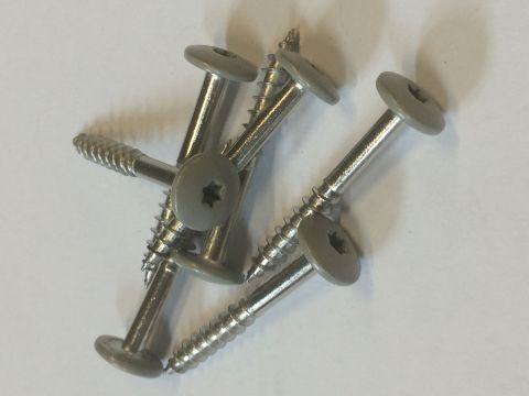 CEDRAL INOX VIJS 38X4,8 C52 PARELGRIJS 100ST/DOOS EUR/DS