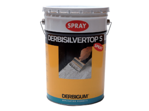 Derbisilvertop spray 20 lit    eur/l