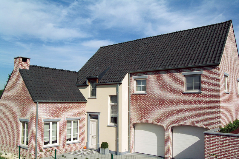 Lf breugel ovh schubvorst belgisch blauw