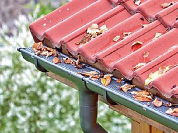 Bladvanger antraciet+clips 2m/st 2st/pak eur/pak