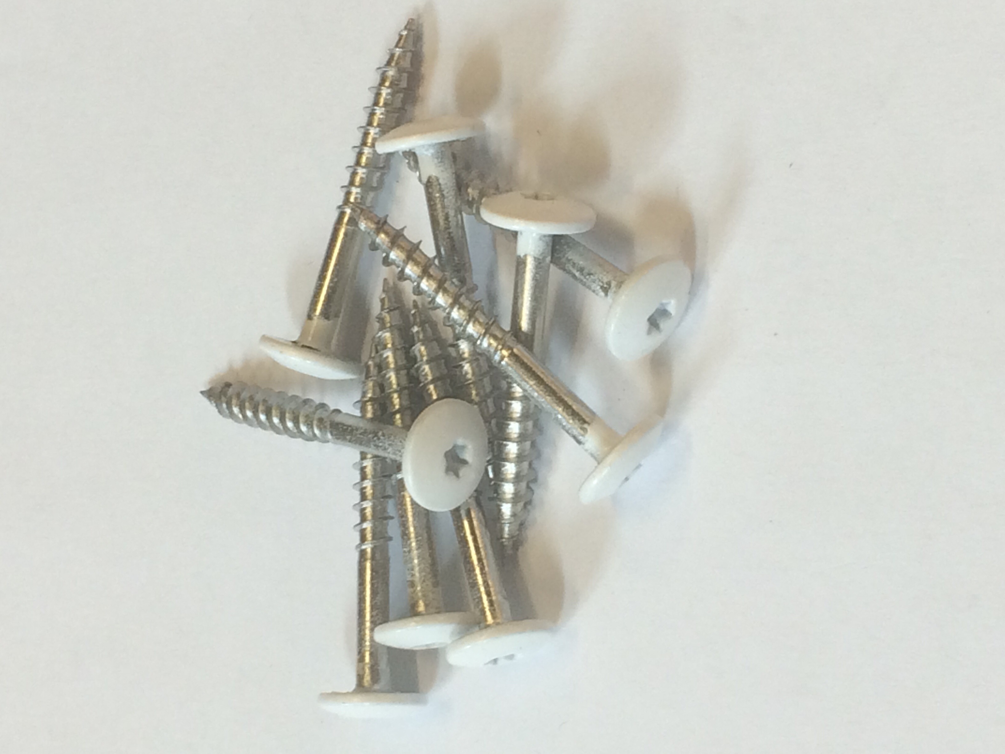 Cedral inox schroeven a4 4,8x38 c01 wit 100st/ds eur/ds